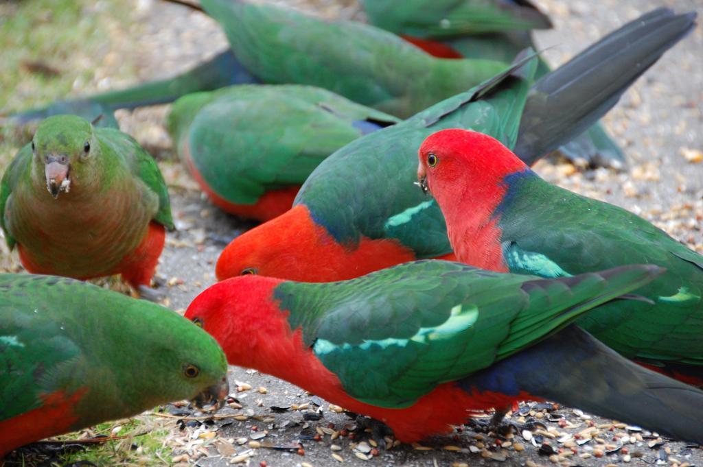 Eildon Pondage Holiday Park מראה חיצוני תמונה